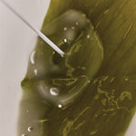 whamisa Organic Algae Kelp Mask 5ea thumbnail 4